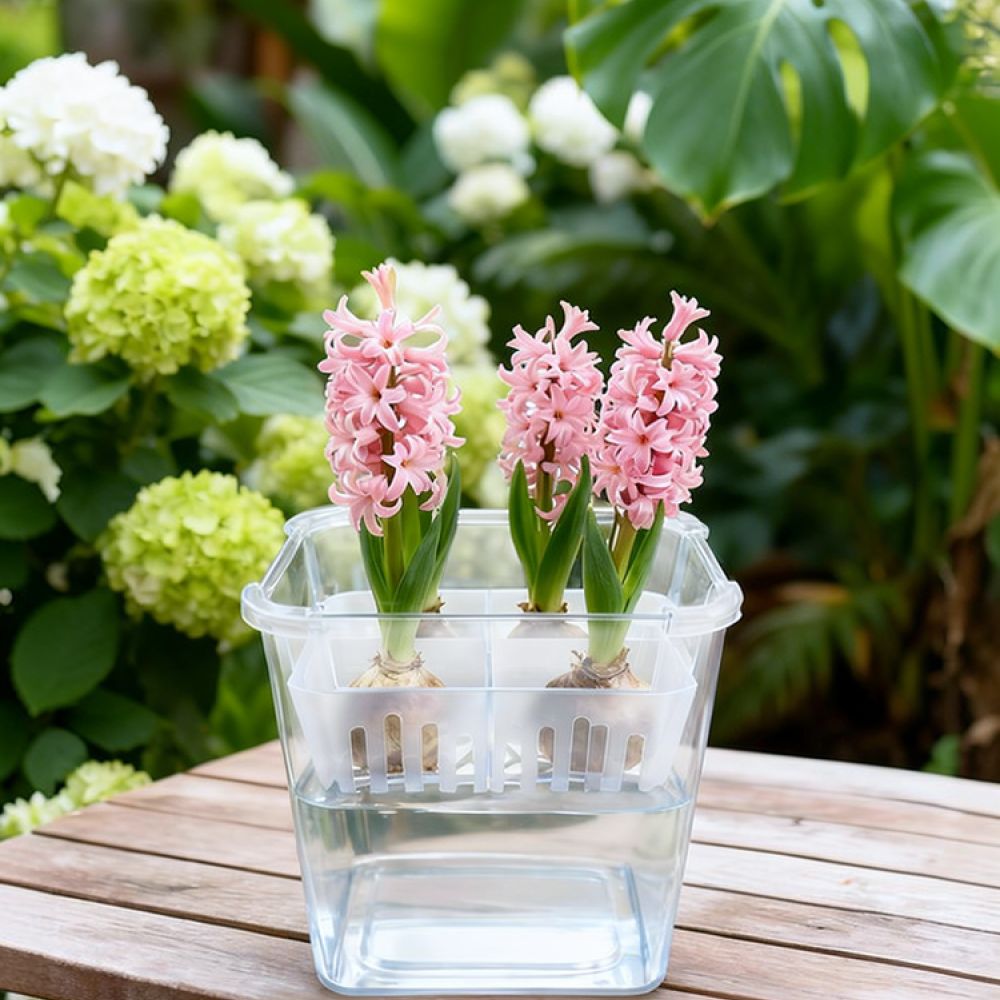 Vase Decor - Hydroponic Vase For Tulip Lily Bulb