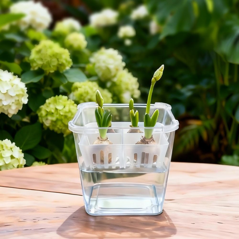 Hydroponic Vase For Tulip Lily - Vase Decor recension och pris